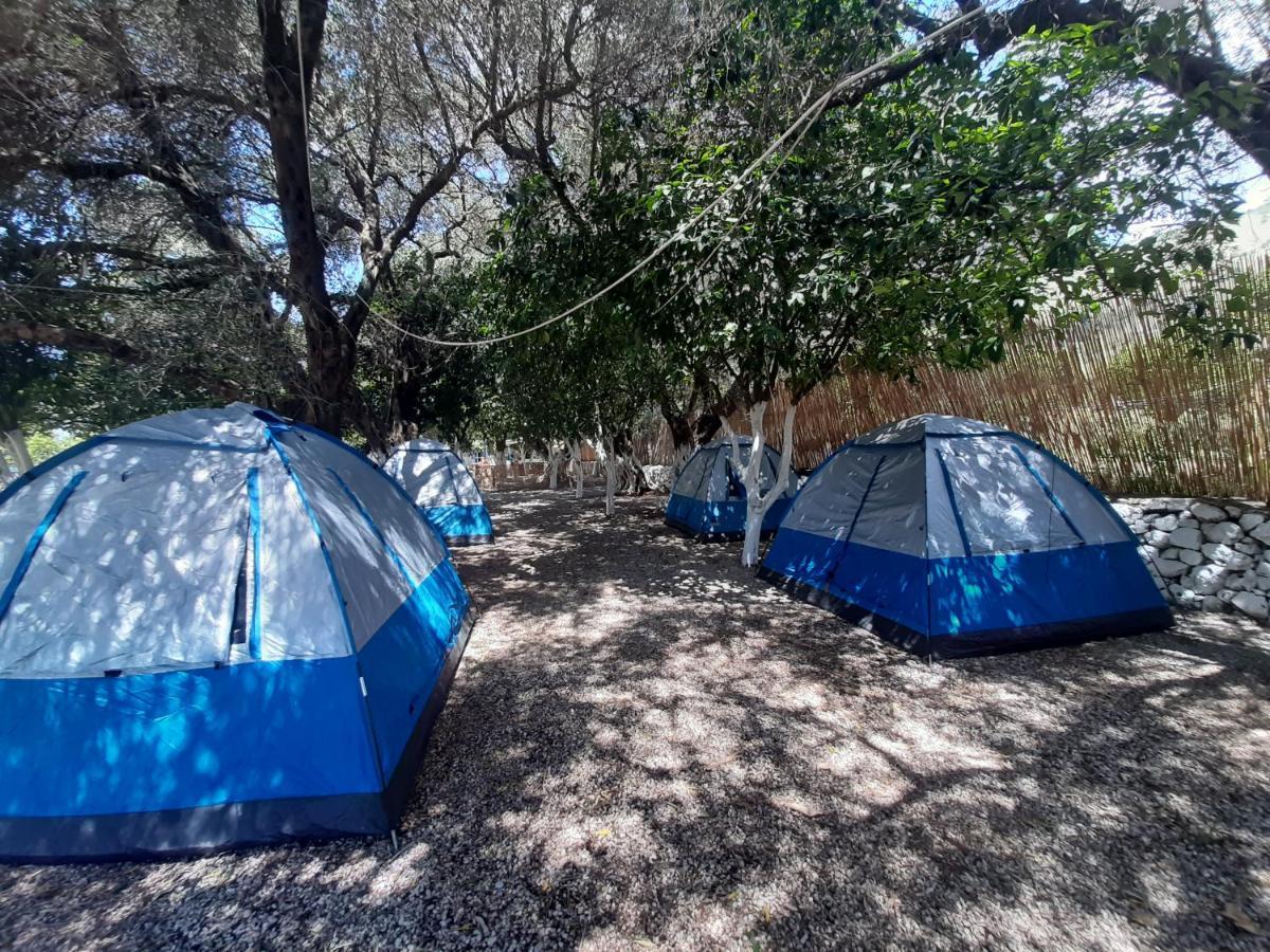 فندق Social Camping جال المظهر الخارجي الصورة