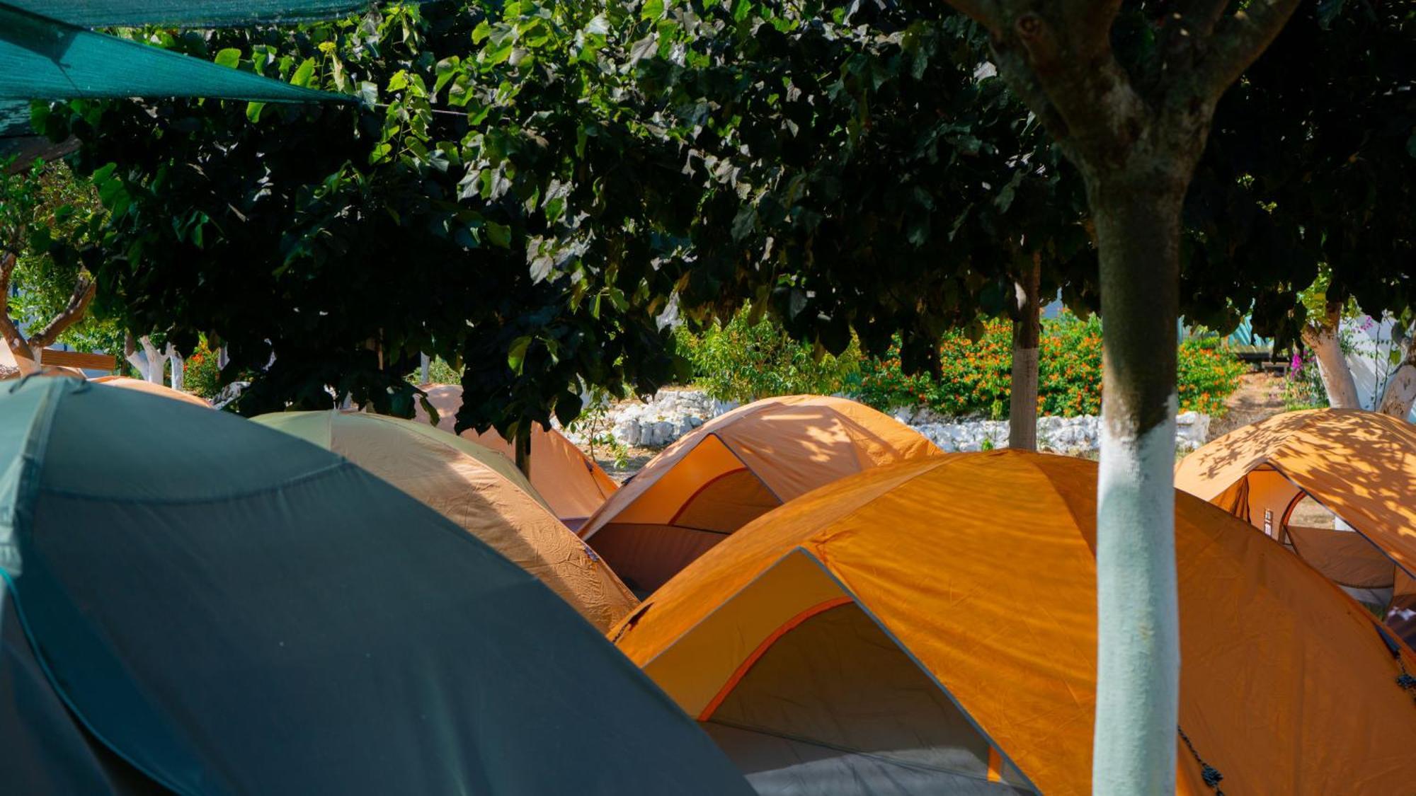 فندق Social Camping جال المظهر الخارجي الصورة